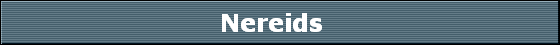Nereids  